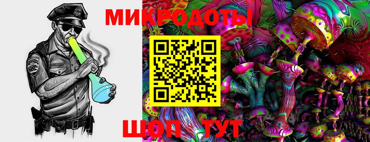Псилоцибиновые грибы Psilocybe Ейск