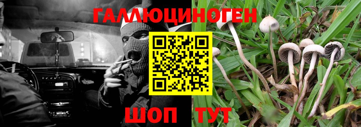 Ейск  Галлюциногенные грибы мухоморы  Вход с VPN  Псилоцибиновые грибы мухоморы 